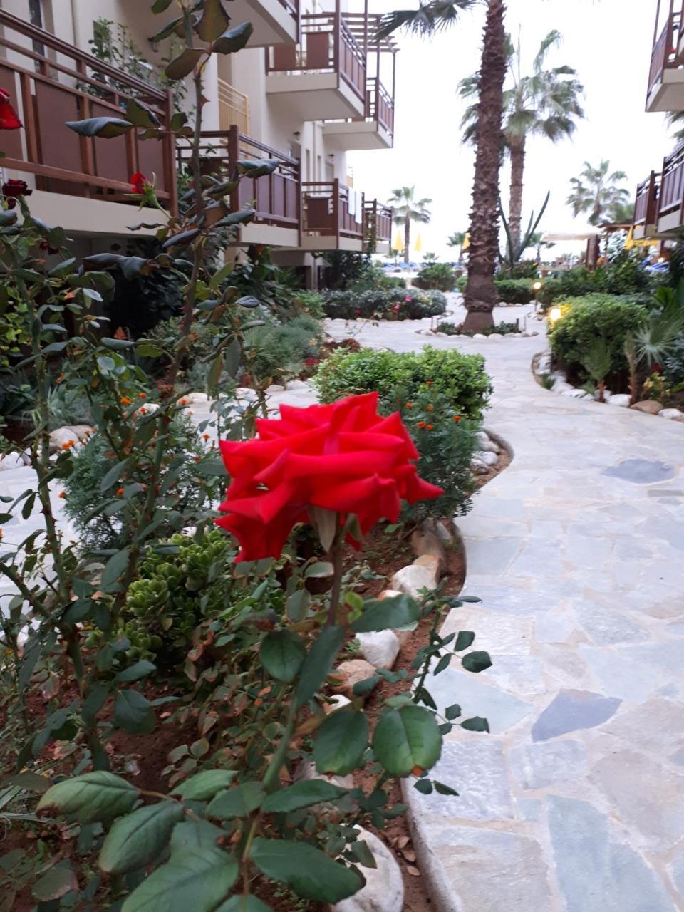 Ilian Beach & Apartments Rethymno Exterior foto
